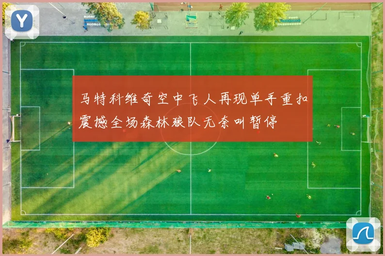 马特科维奇空中飞人再现单手重扣震撼全场森林狼队无奈叫暂停