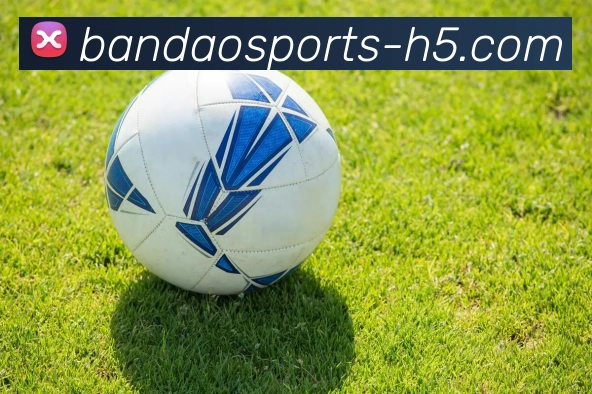 半岛体育APP 封面图