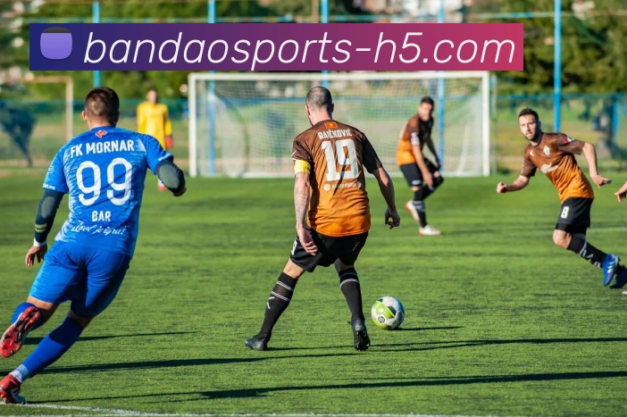 数据防护可视化